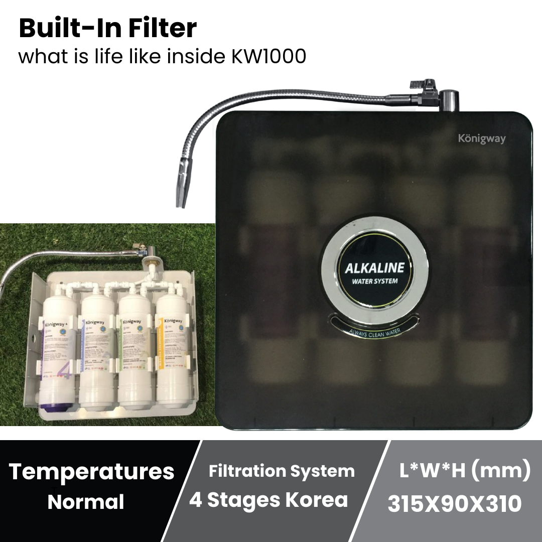 Alkaline Water Filter KW1000 (with installation)