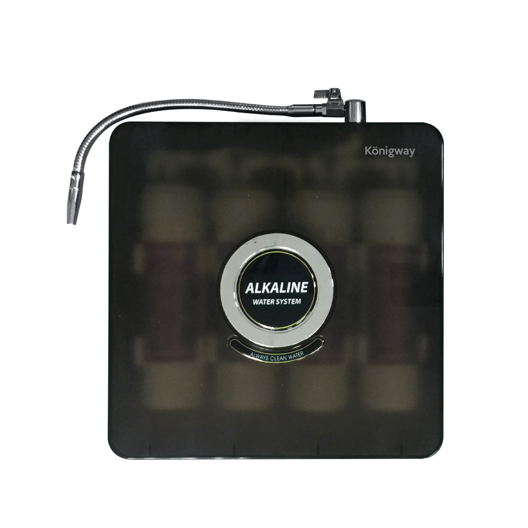 Alkaline Water Filter KW1000 (with installation)